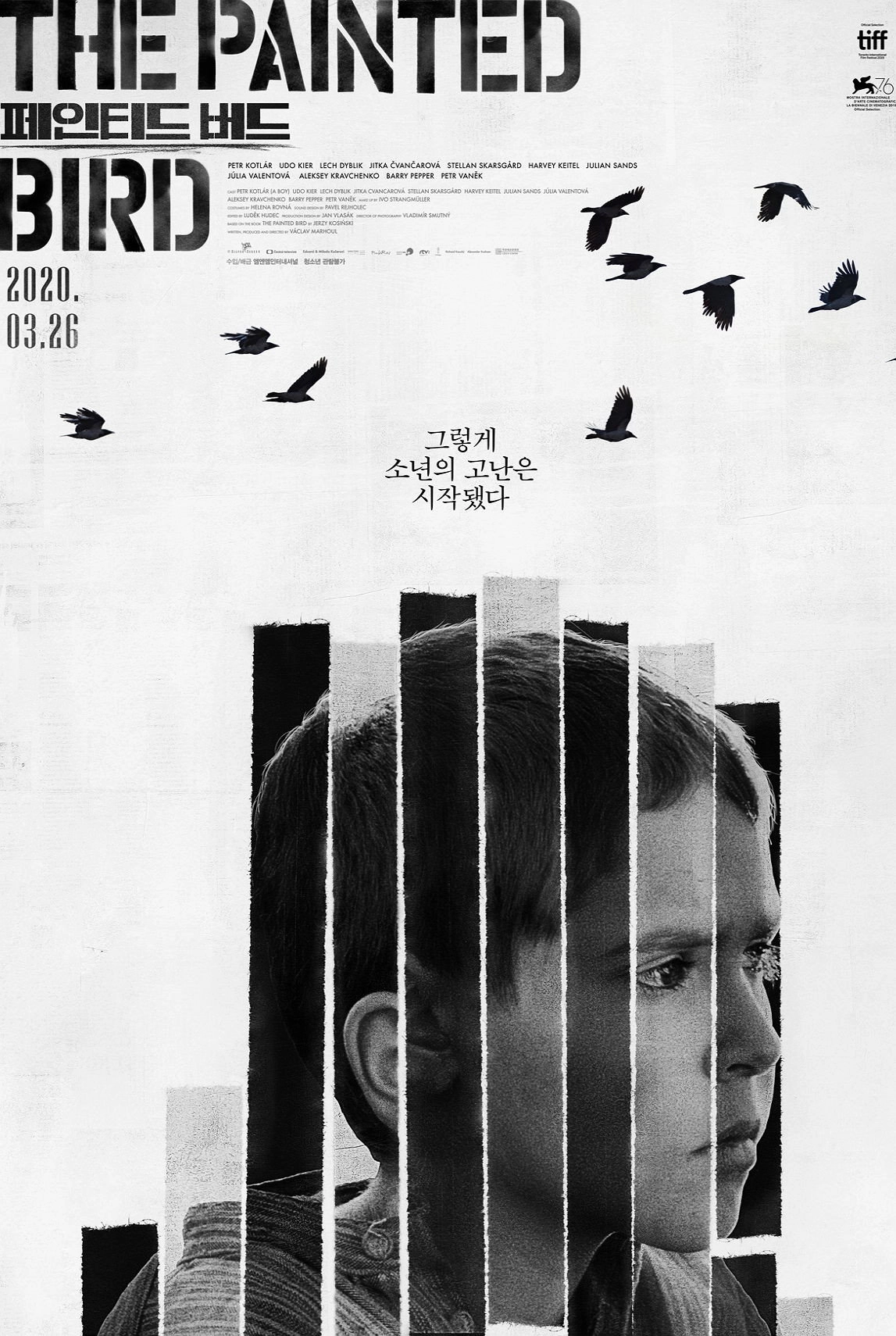 The Painted Bird