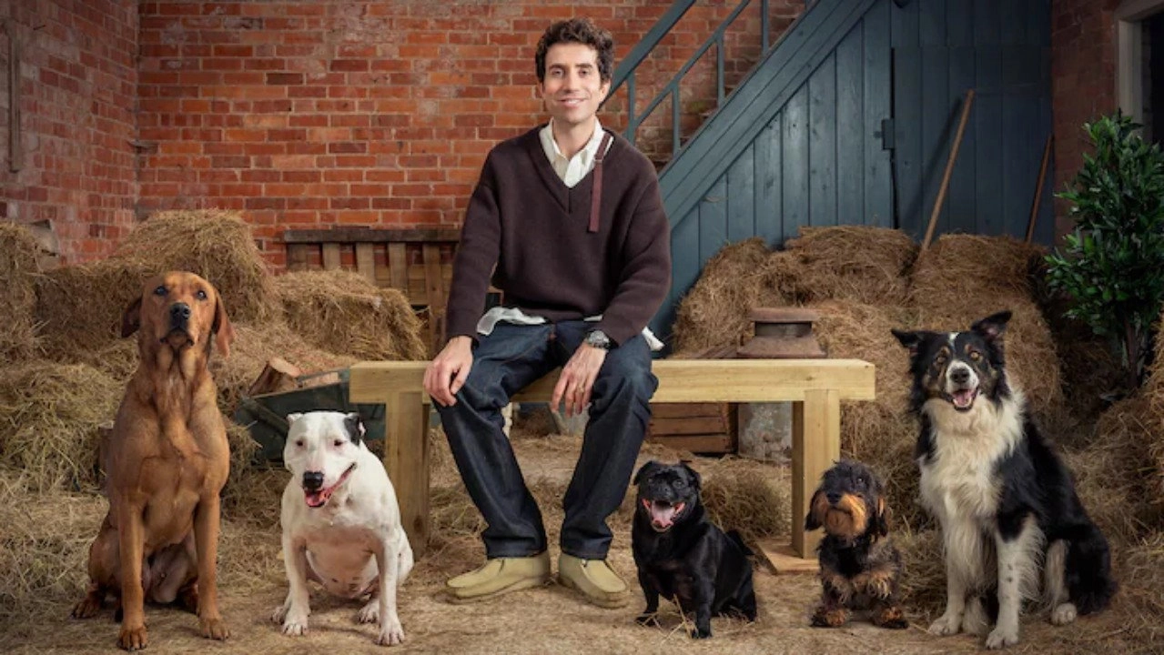 Bad Dog Academy