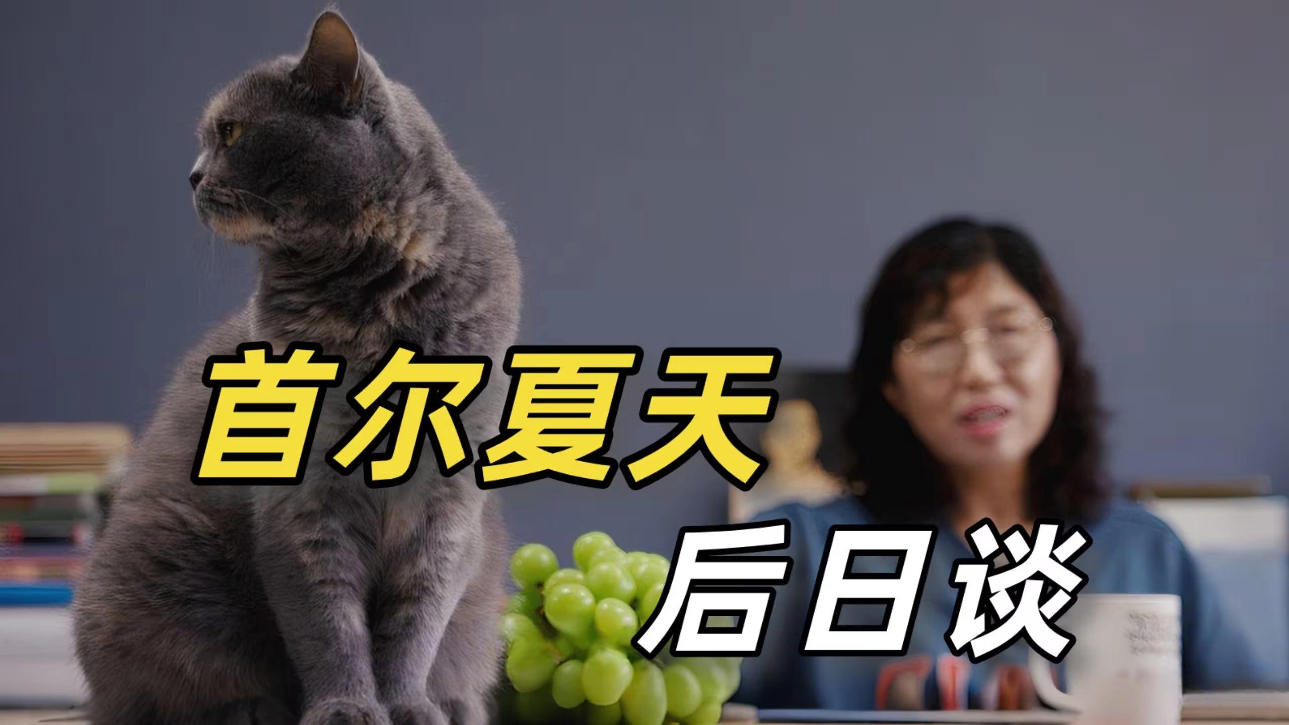 ShiPinDao Charging Documentary