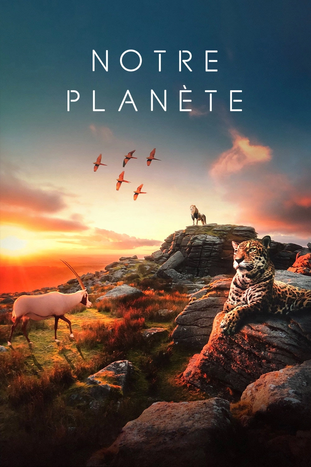 Our Planet