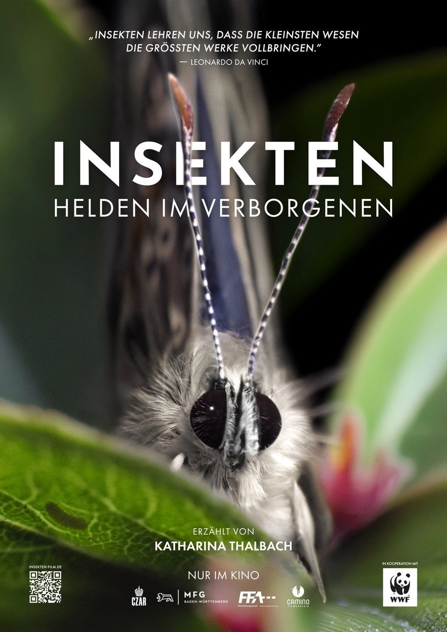 Insects – Hidden Heroes