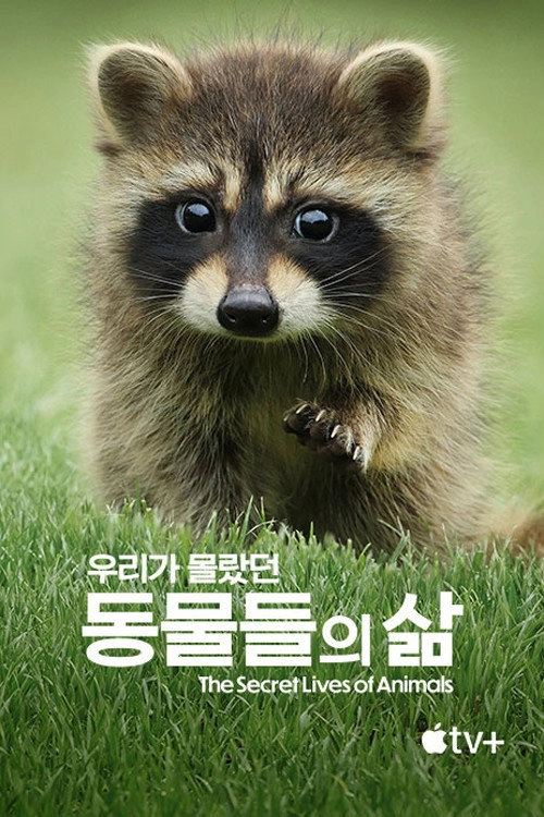 The Secret Lives of Animals