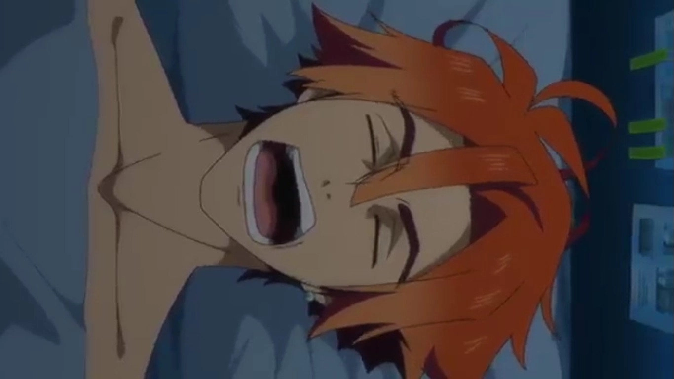 RobiHachi