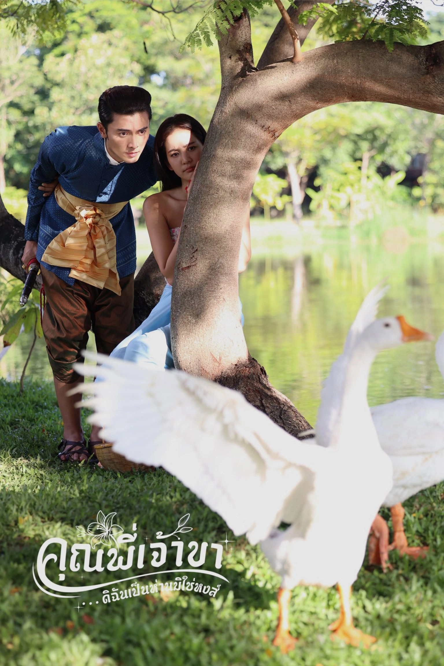Good Heavens! I'm a Goose Not a Swan