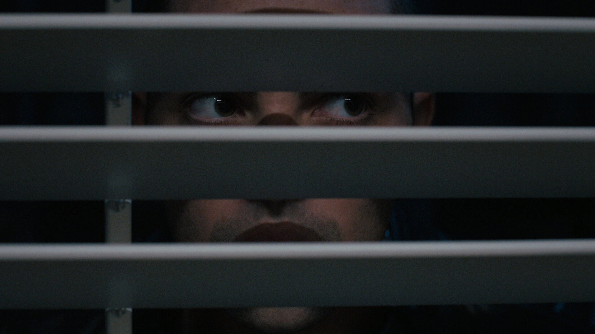 The Woman in the House Across the Street from the Girl in the Window