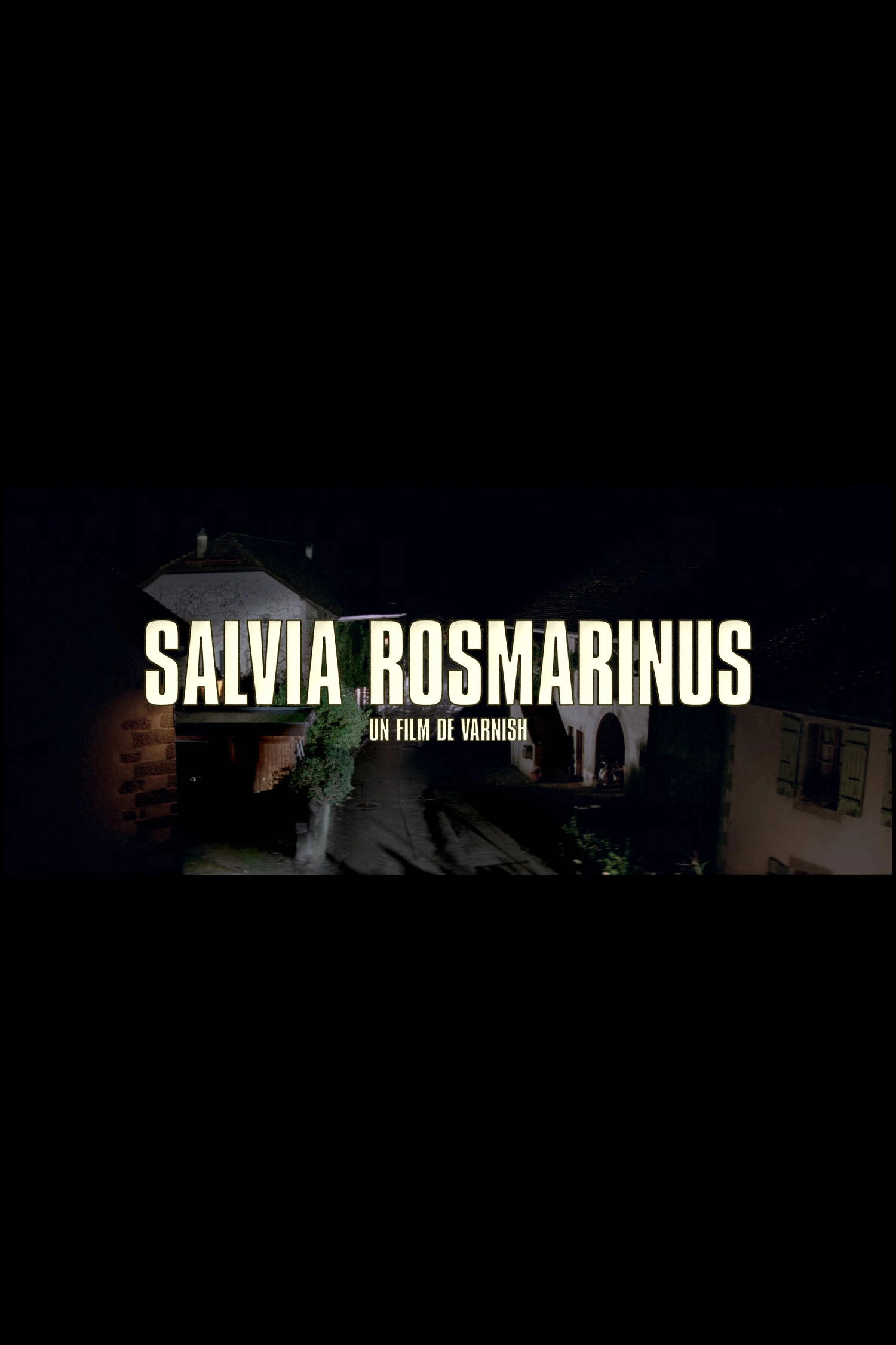 SALVIA ROSMARINUS