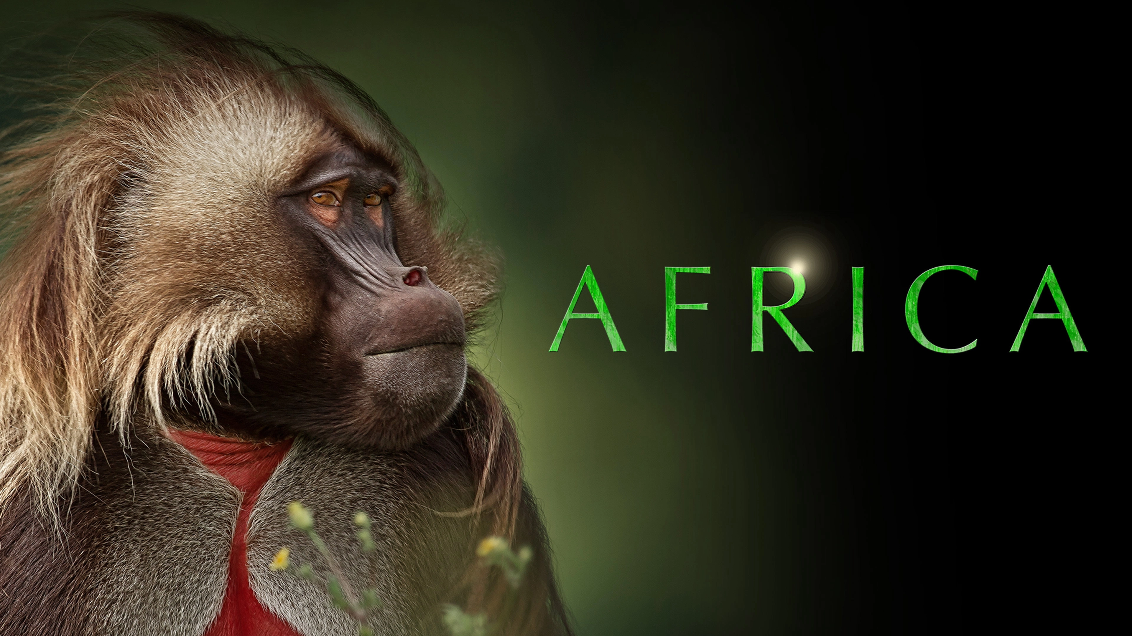 Africa