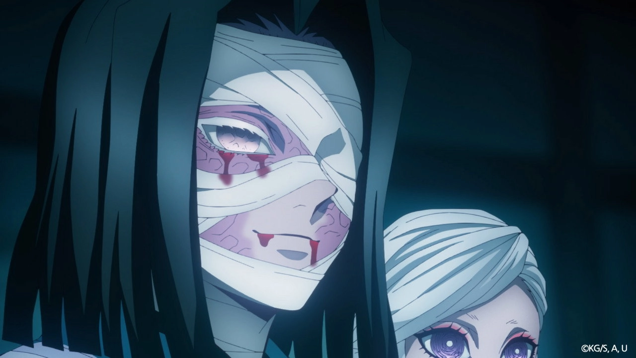 Demon Slayer: Kimetsu no Yaiba Special Edition Hashira Training Arc Part 2