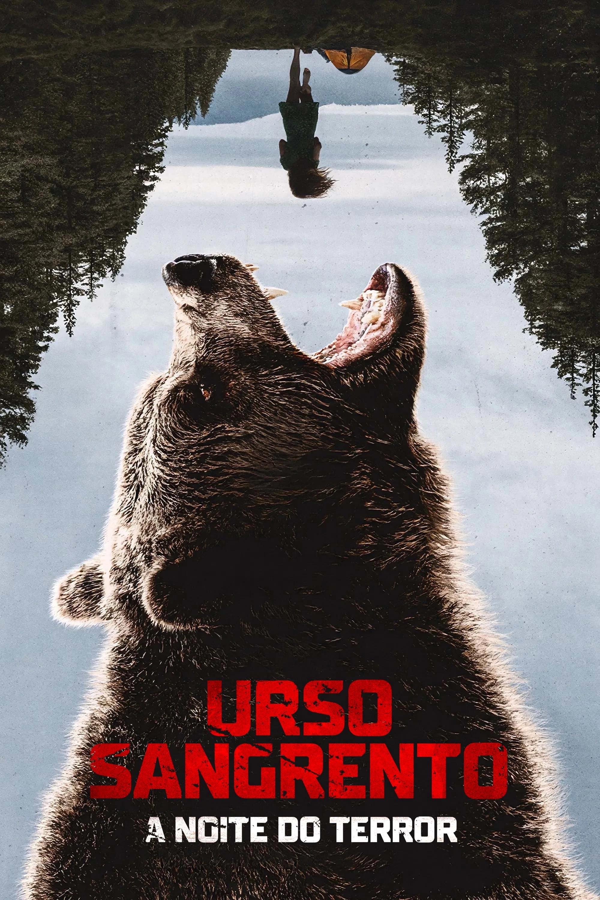 Grizzly Night