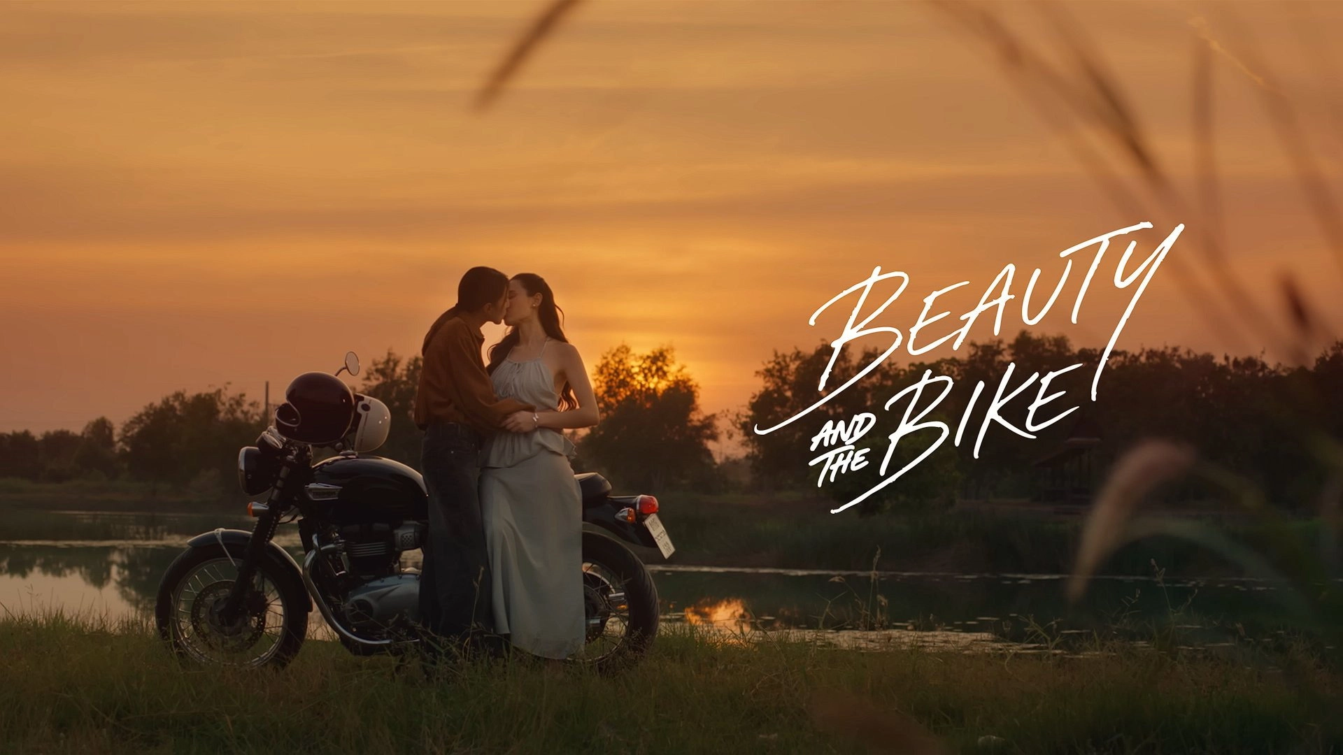 Beauty and the Bike