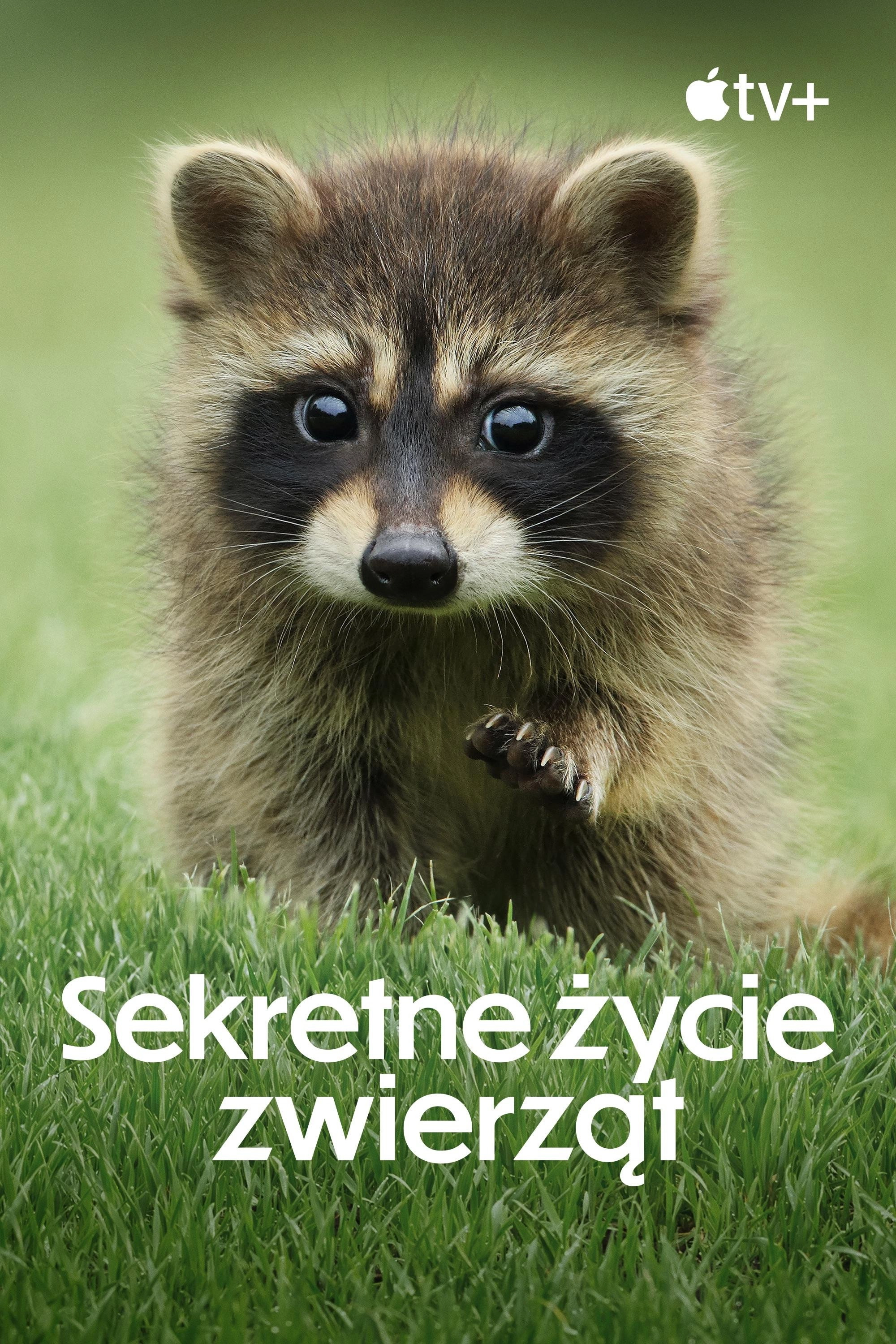 The Secret Lives of Animals