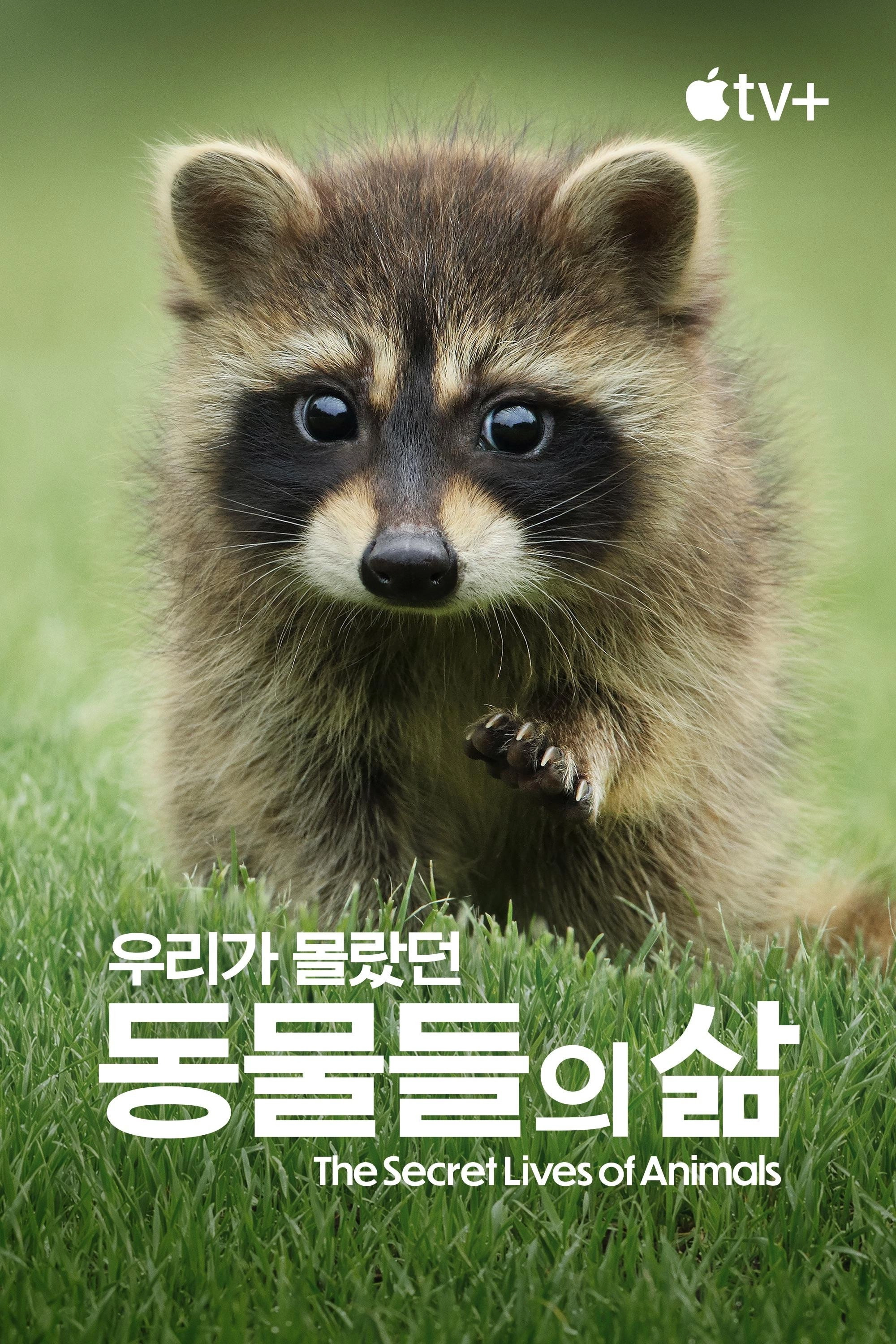 The Secret Lives of Animals