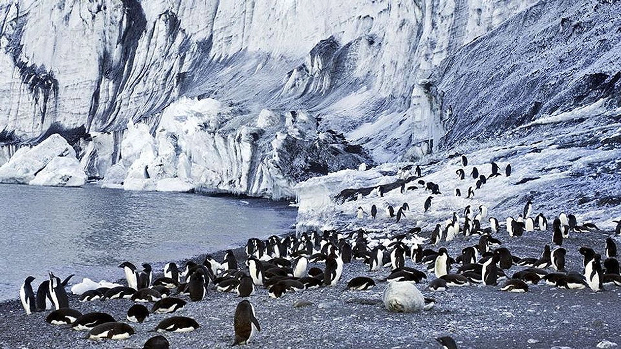 Antarctica: The Frozen Time