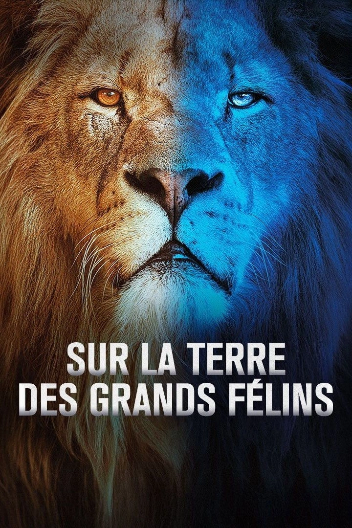 Big Cats 24/7