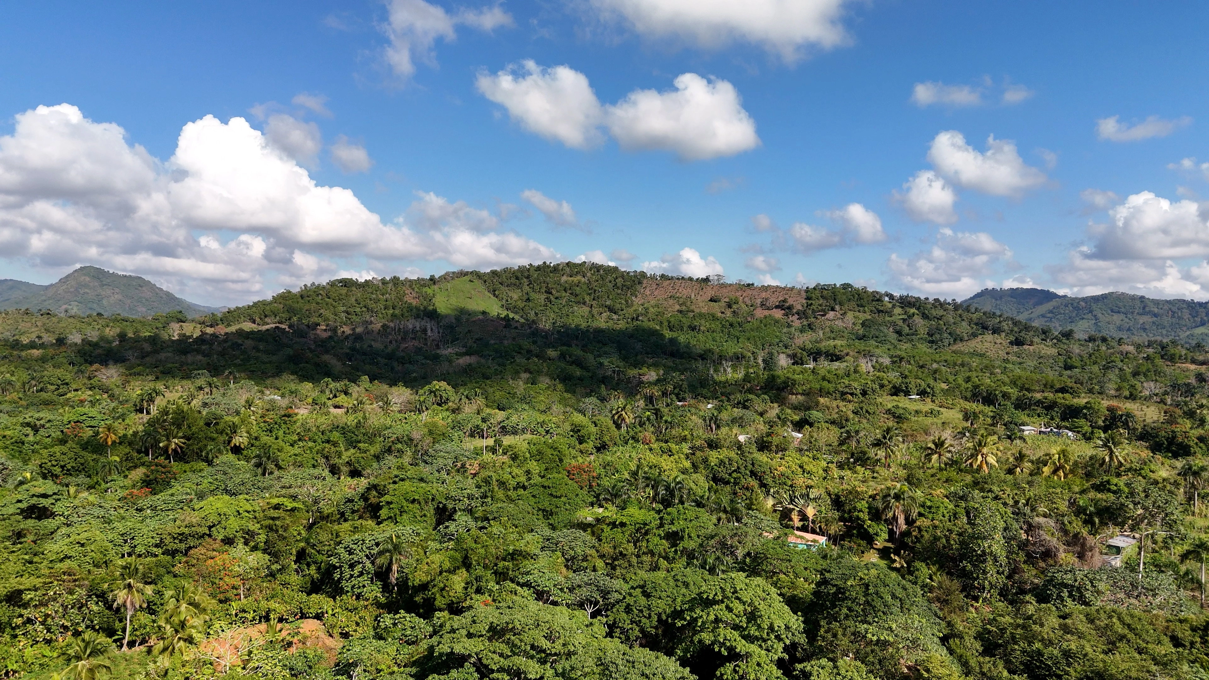 Mamá Tingó: Living memory of the Dominican land