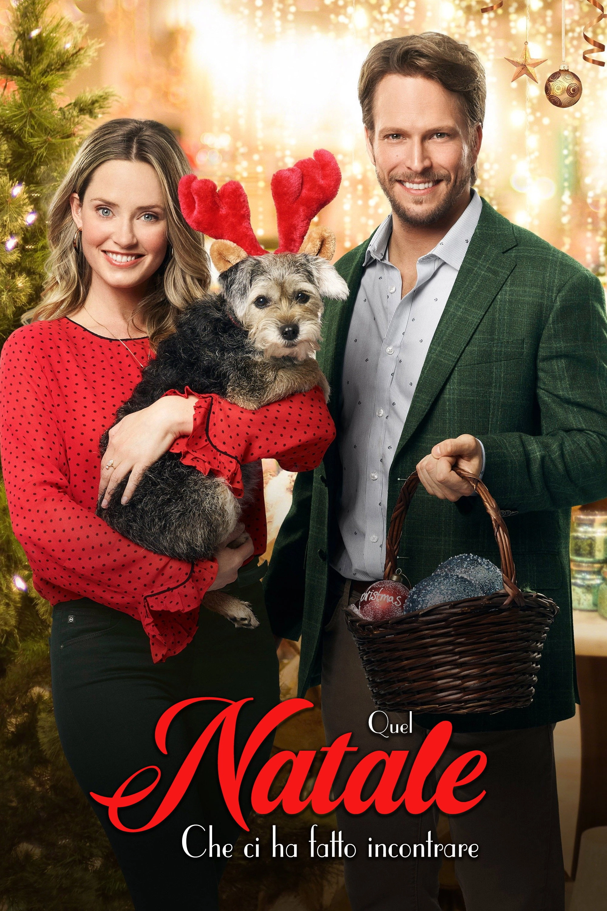 Picture a Perfect Christmas