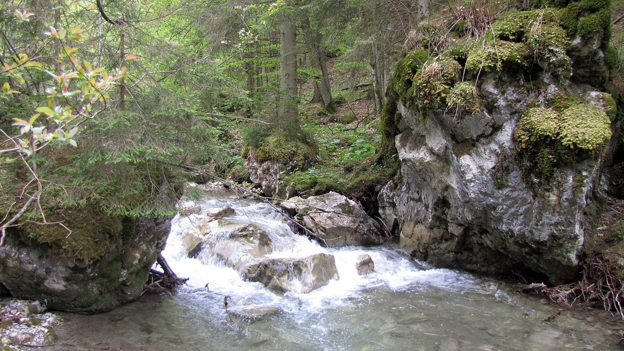 The Devil's Bridge