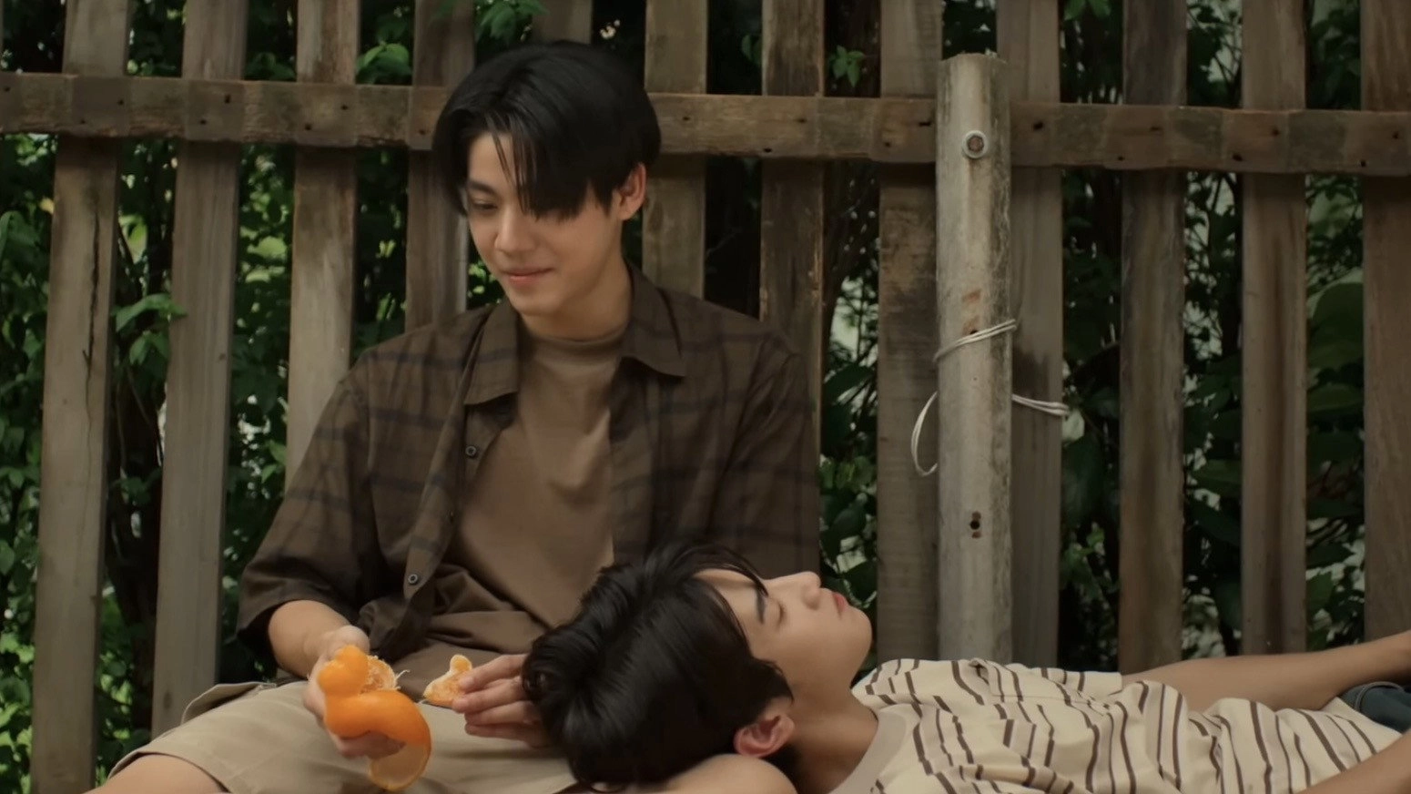 When Oranges Fall