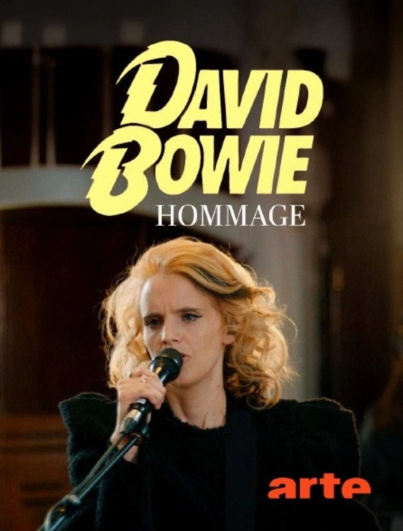 Tribute to David Bowie - Heroes Never Die