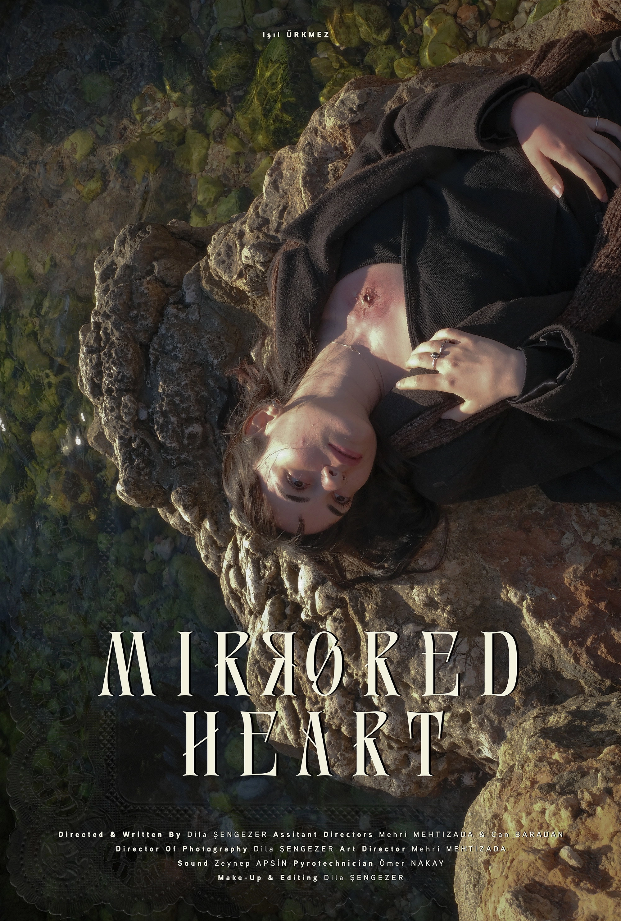 Mirrored Heart