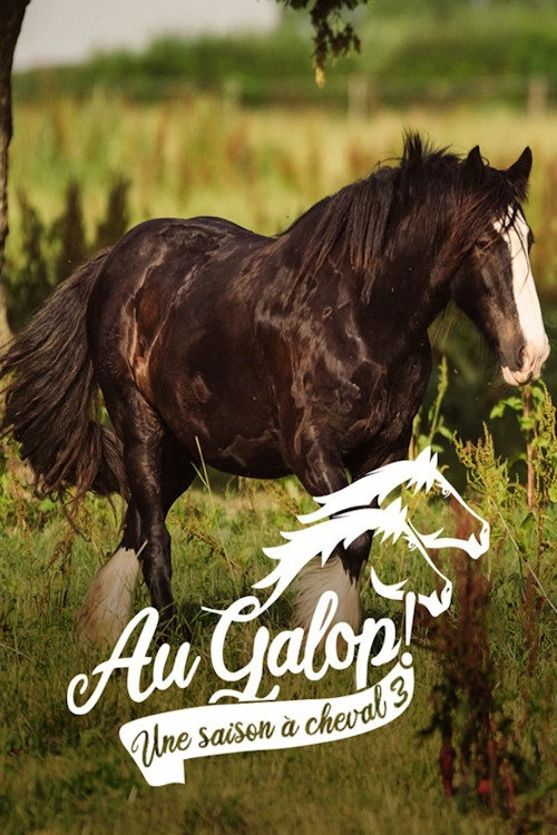 Au galop ! une saison à cheval
