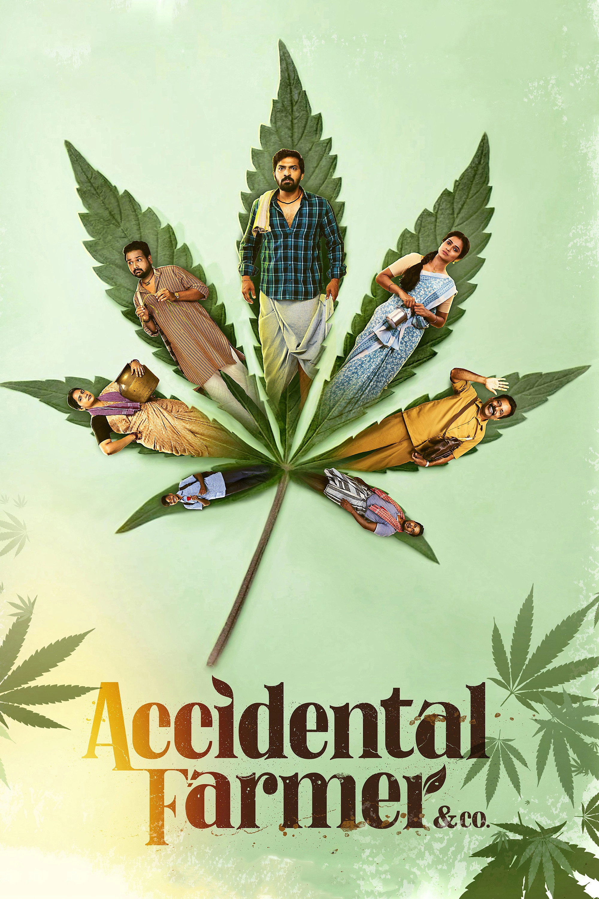 Accidental Farmer & Co.