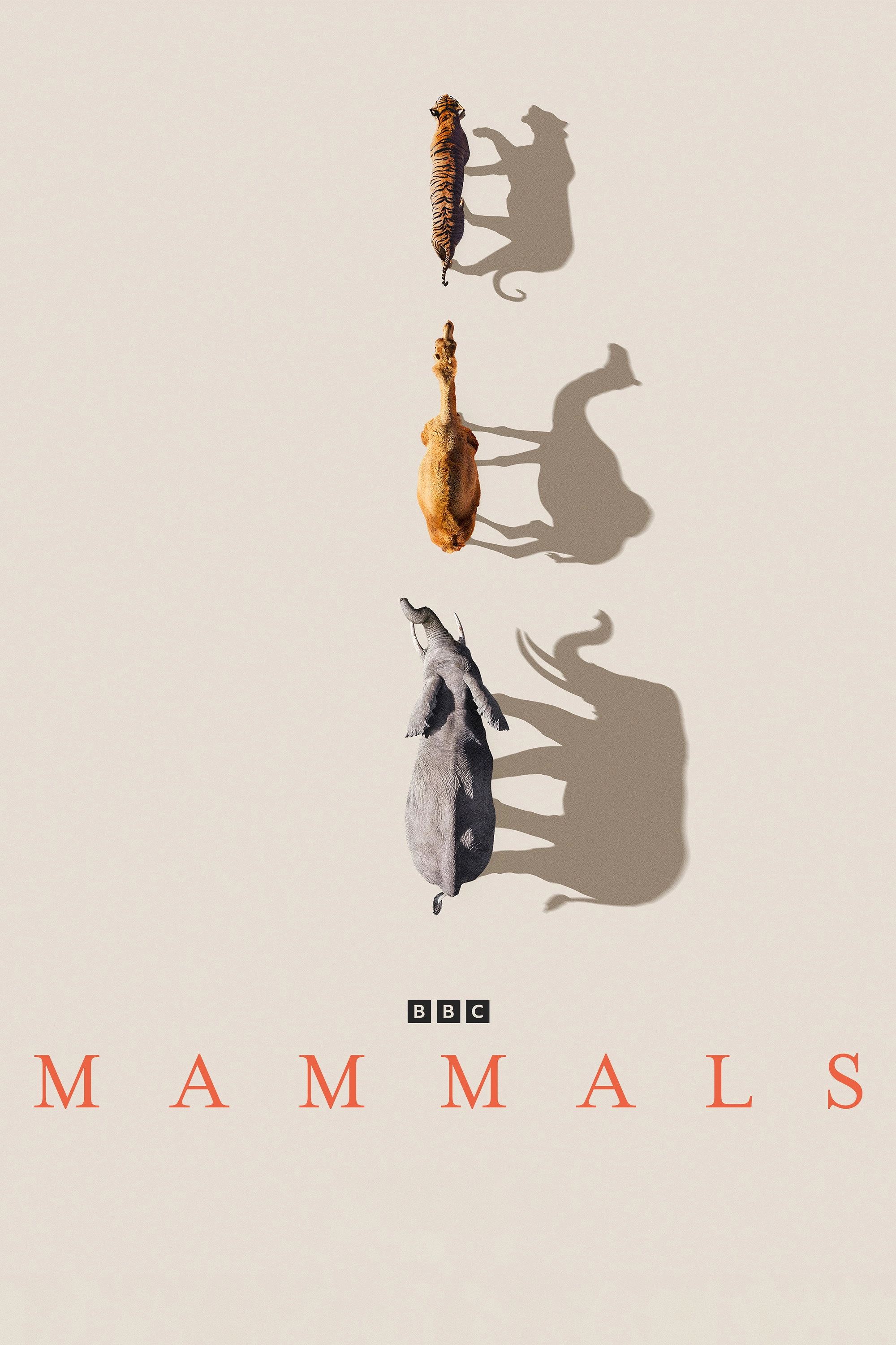 Mammals
