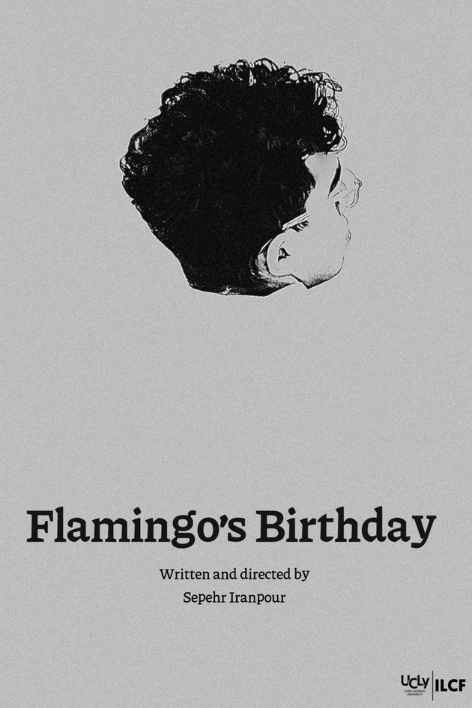 Flamingo's Birthday