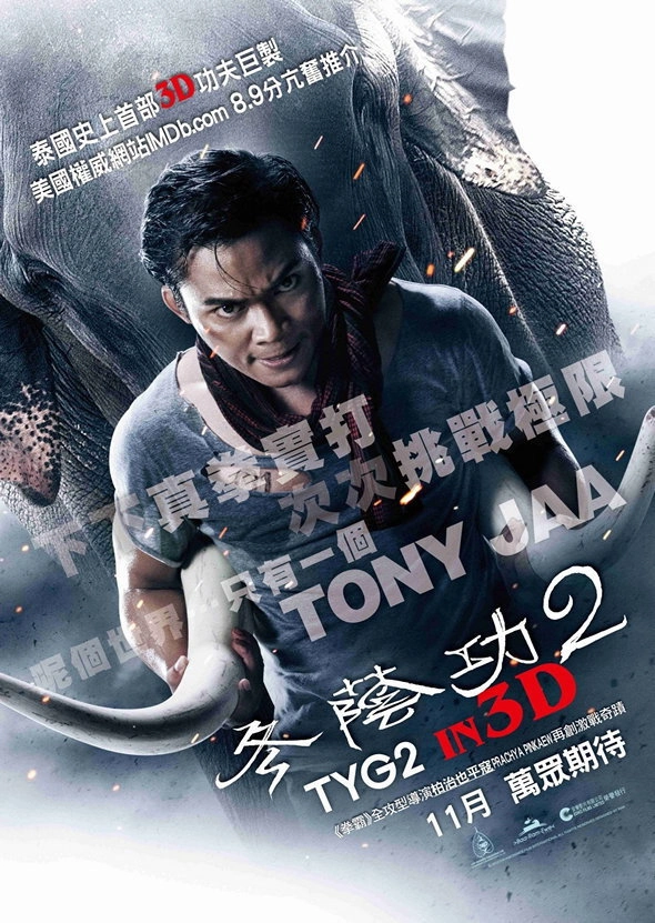 The Protector 2