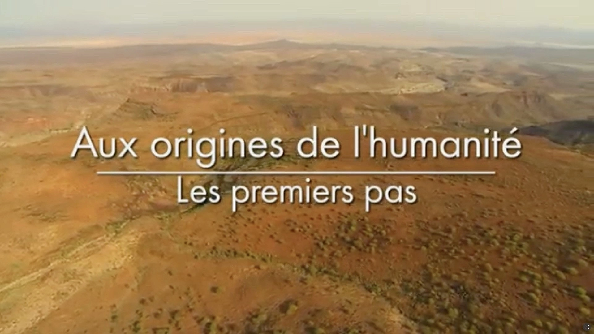 Aux origines de l'humanité