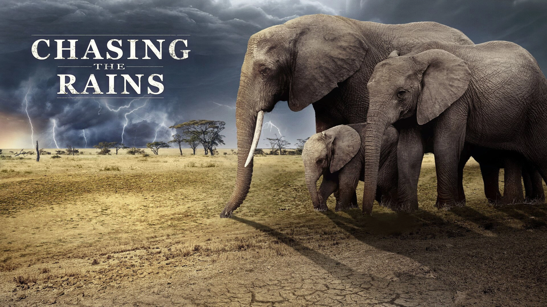 Chasing the Rains