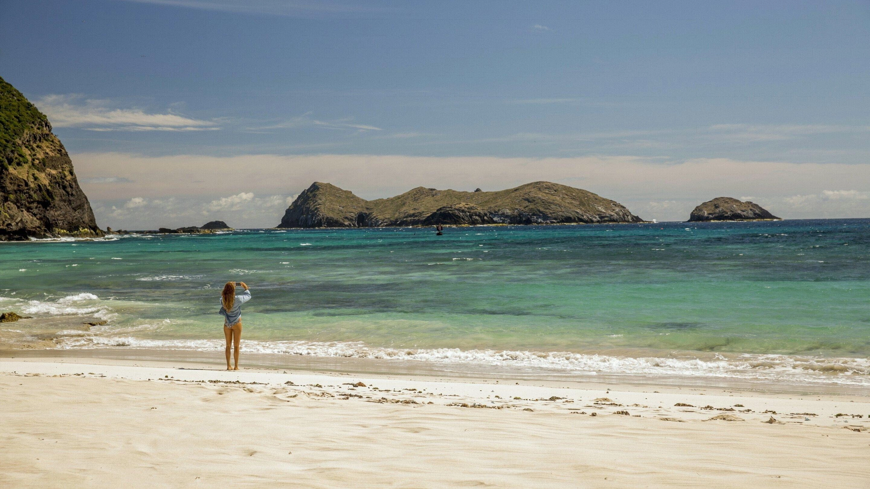The Shallows