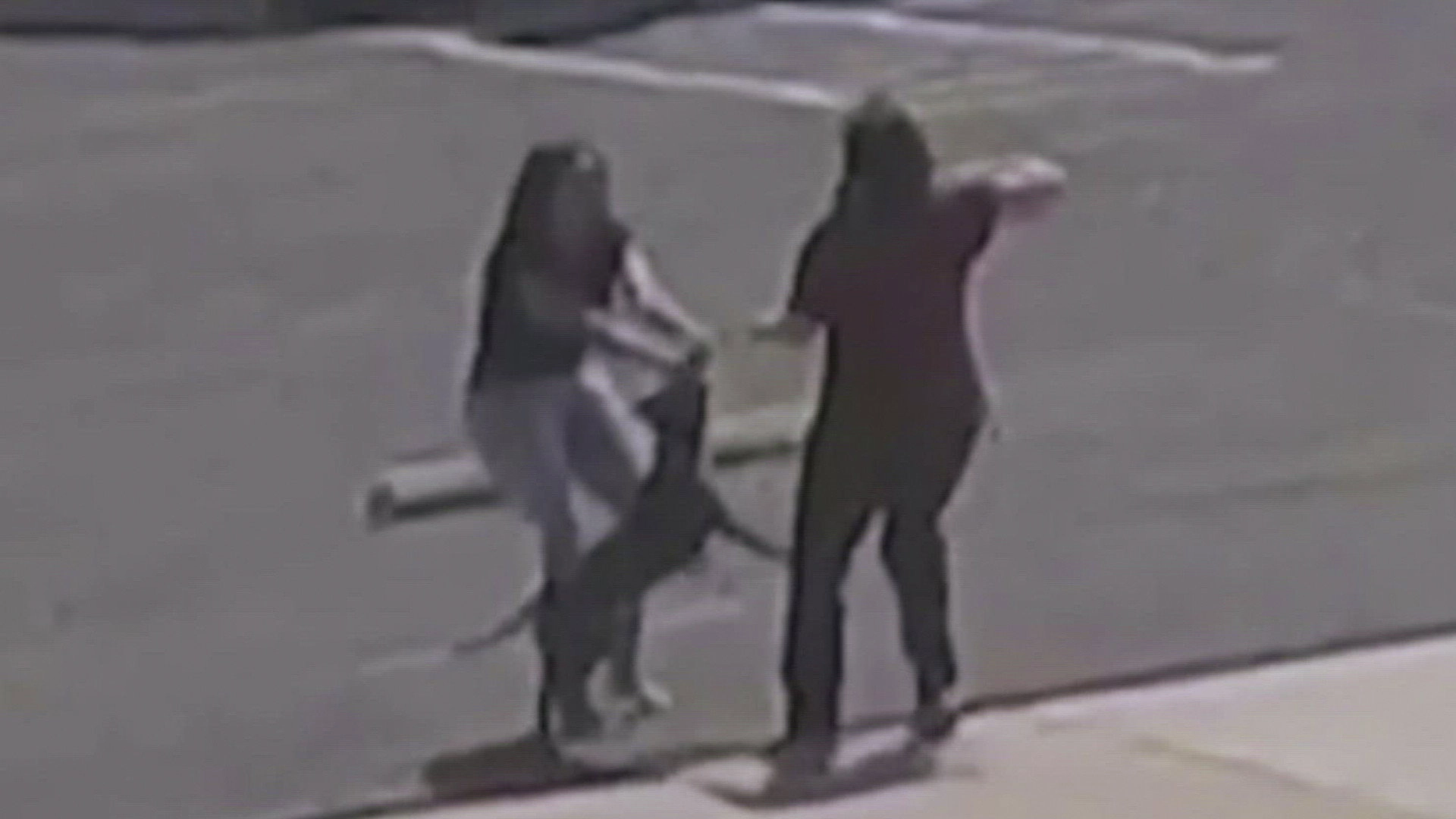 Crimes Gone Viral