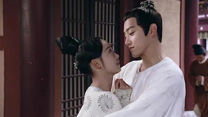 Qing Qing Zi Jin