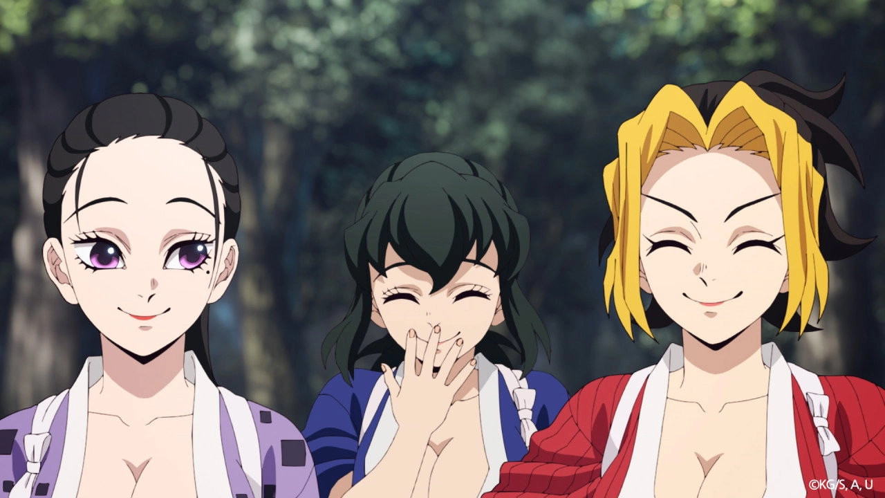 Demon Slayer: Kimetsu no Yaiba Special Edition Hashira Training Arc Part 1