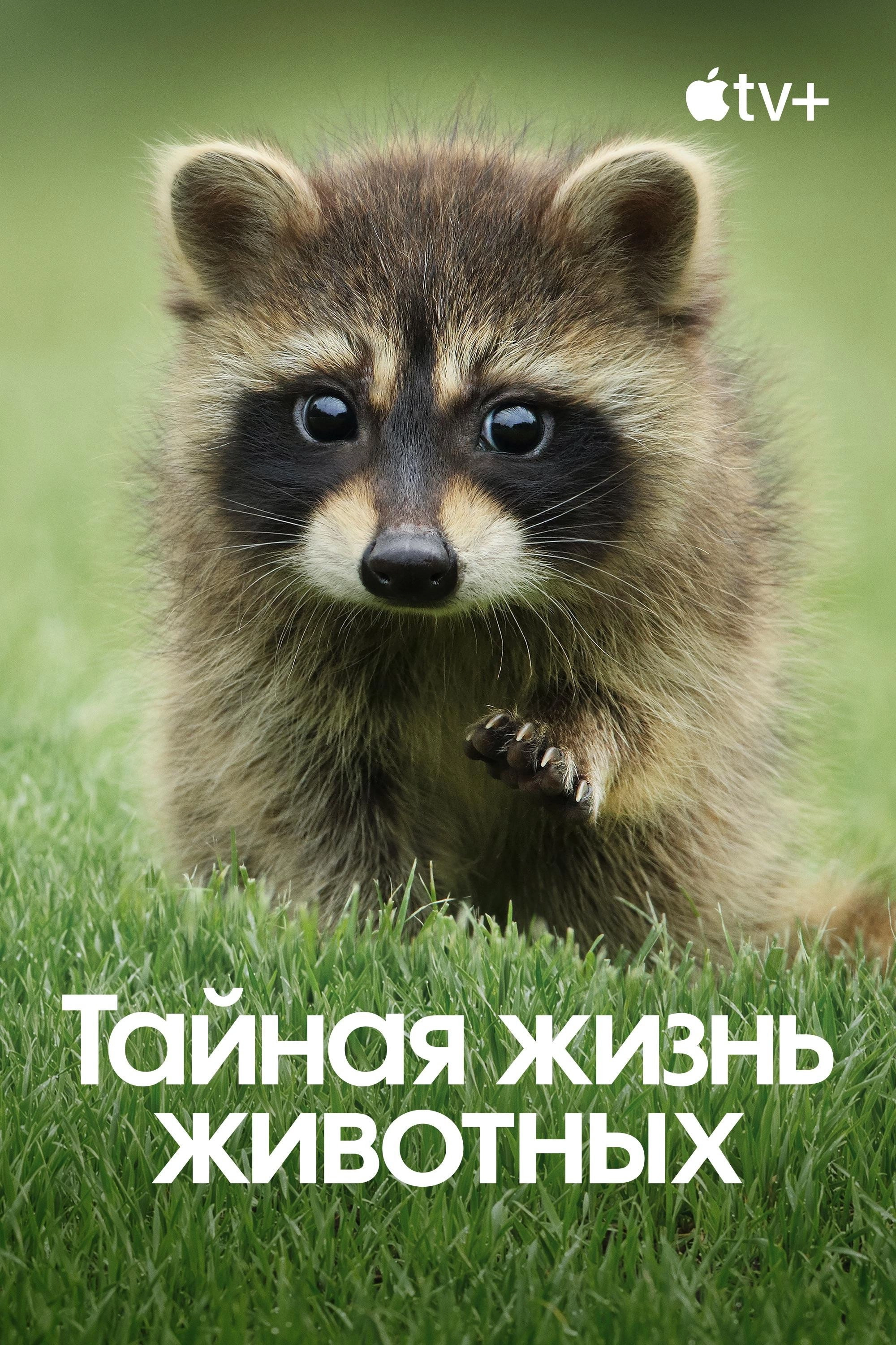 The Secret Lives of Animals