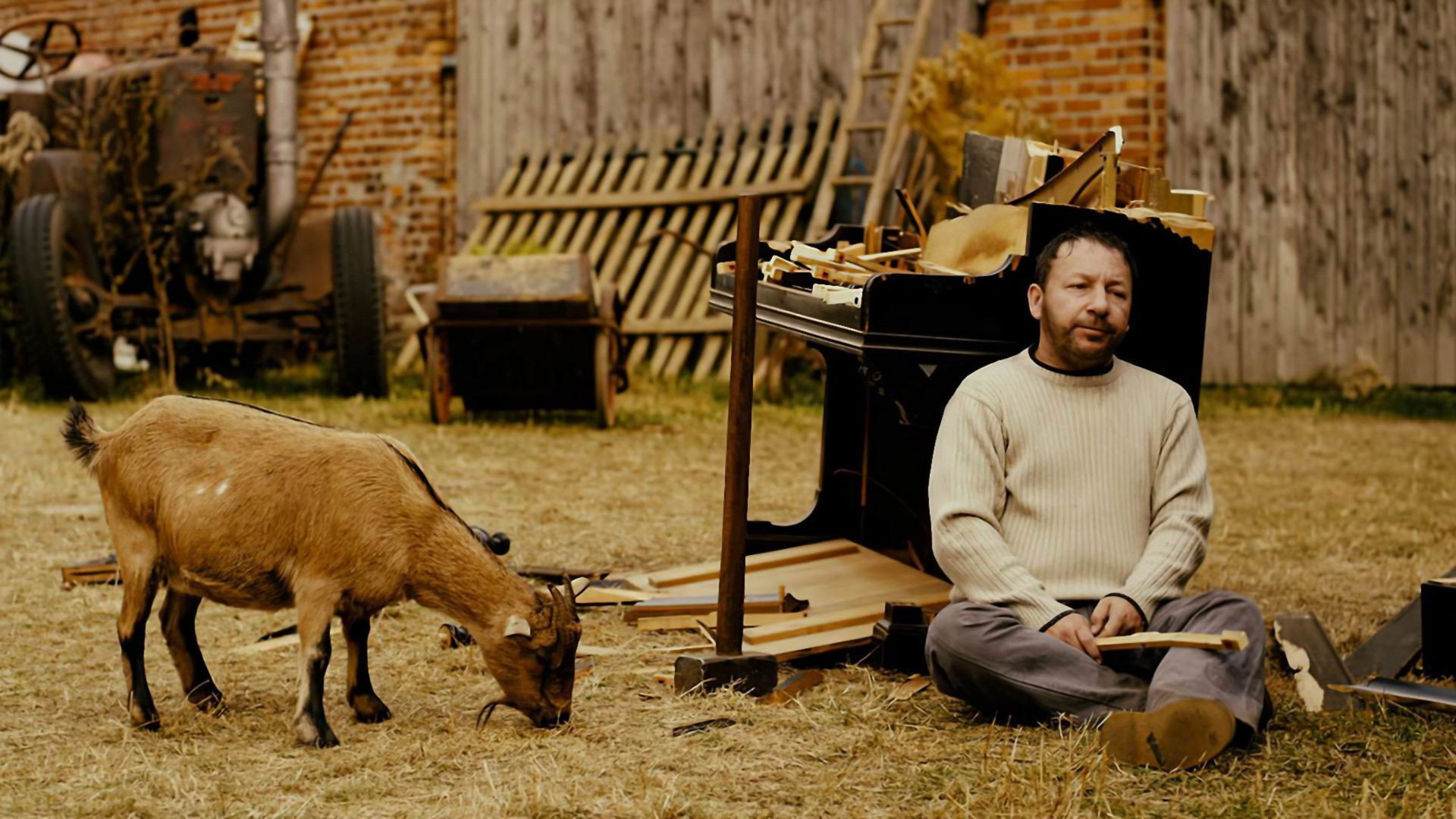 Father, Son & Holy Cow