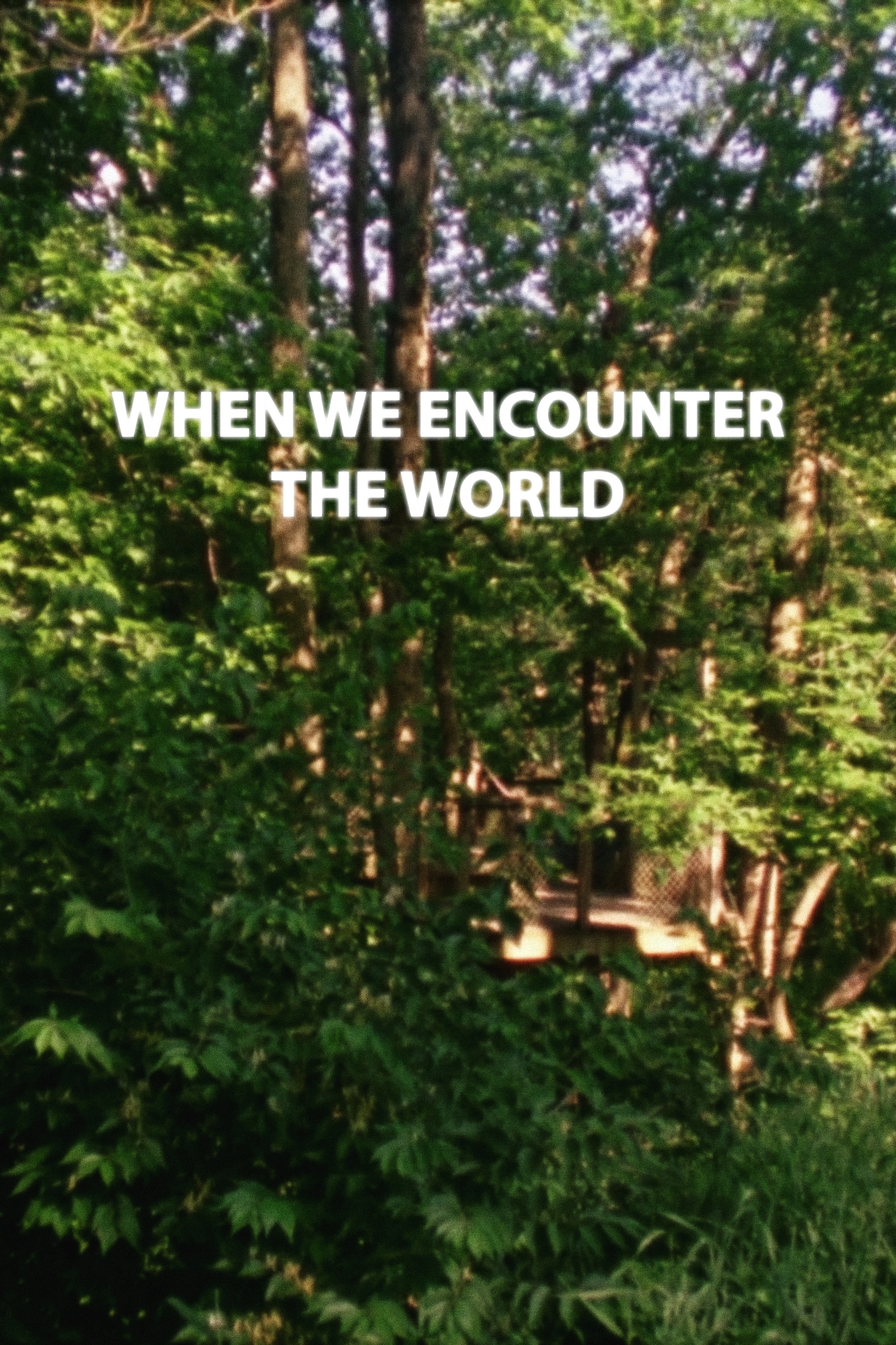 When We Encounter the World