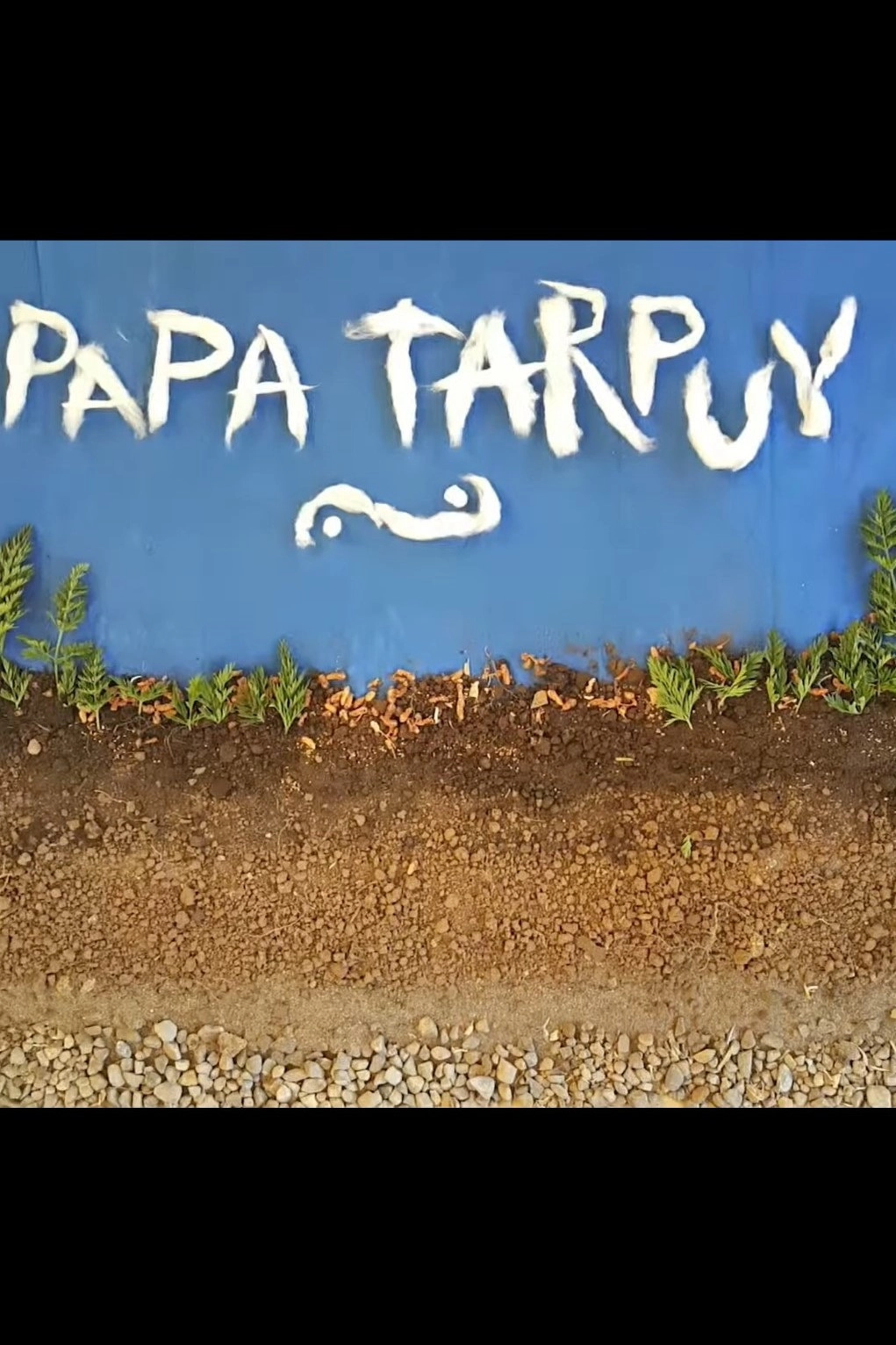 Papa Tarpuy