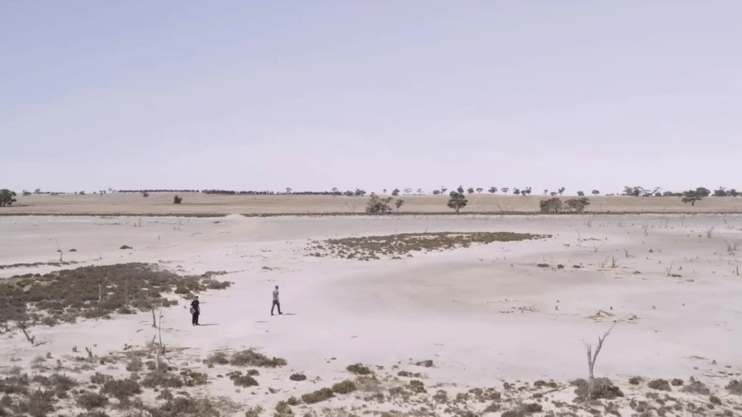 The Dry