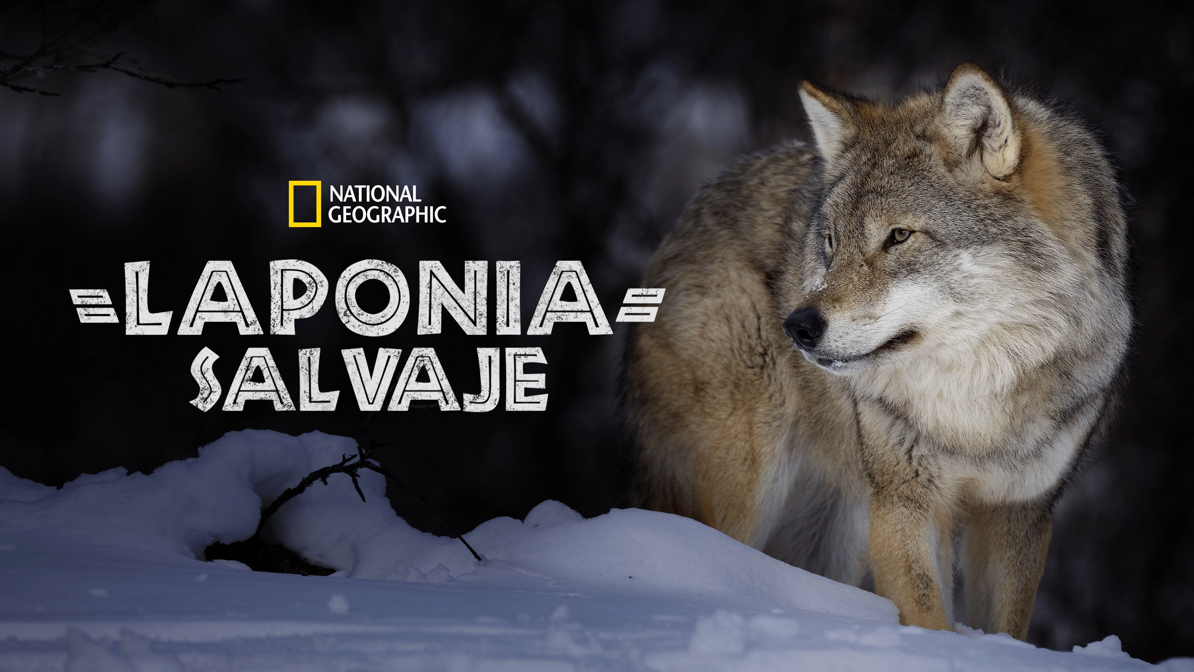 Wild Lapland