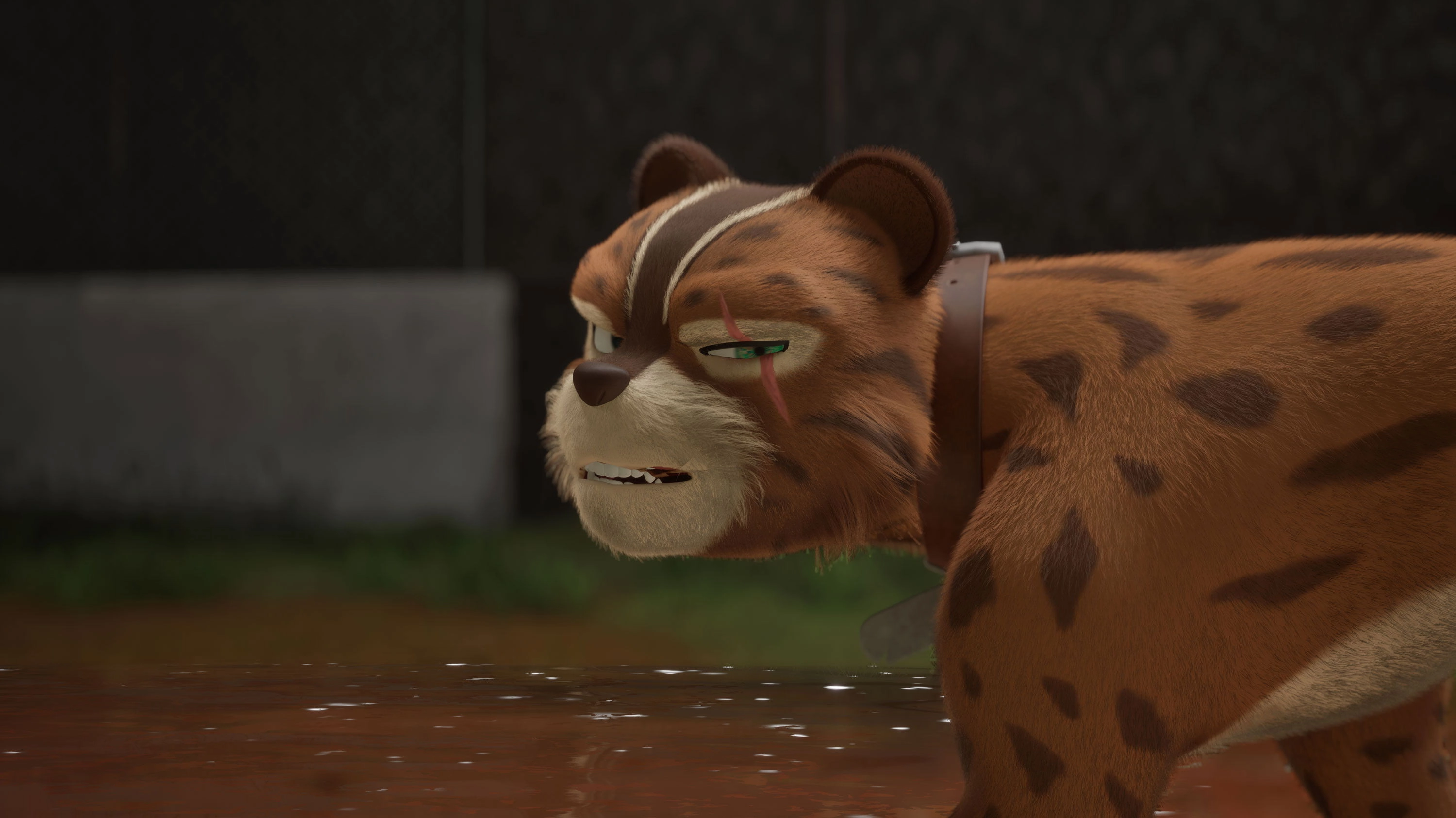 DMZ Animal Rangers