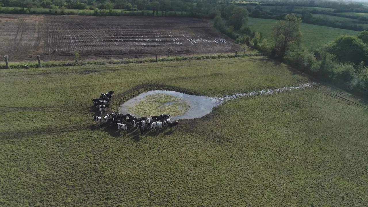 Au cœur des parcs régionaux naturels de France