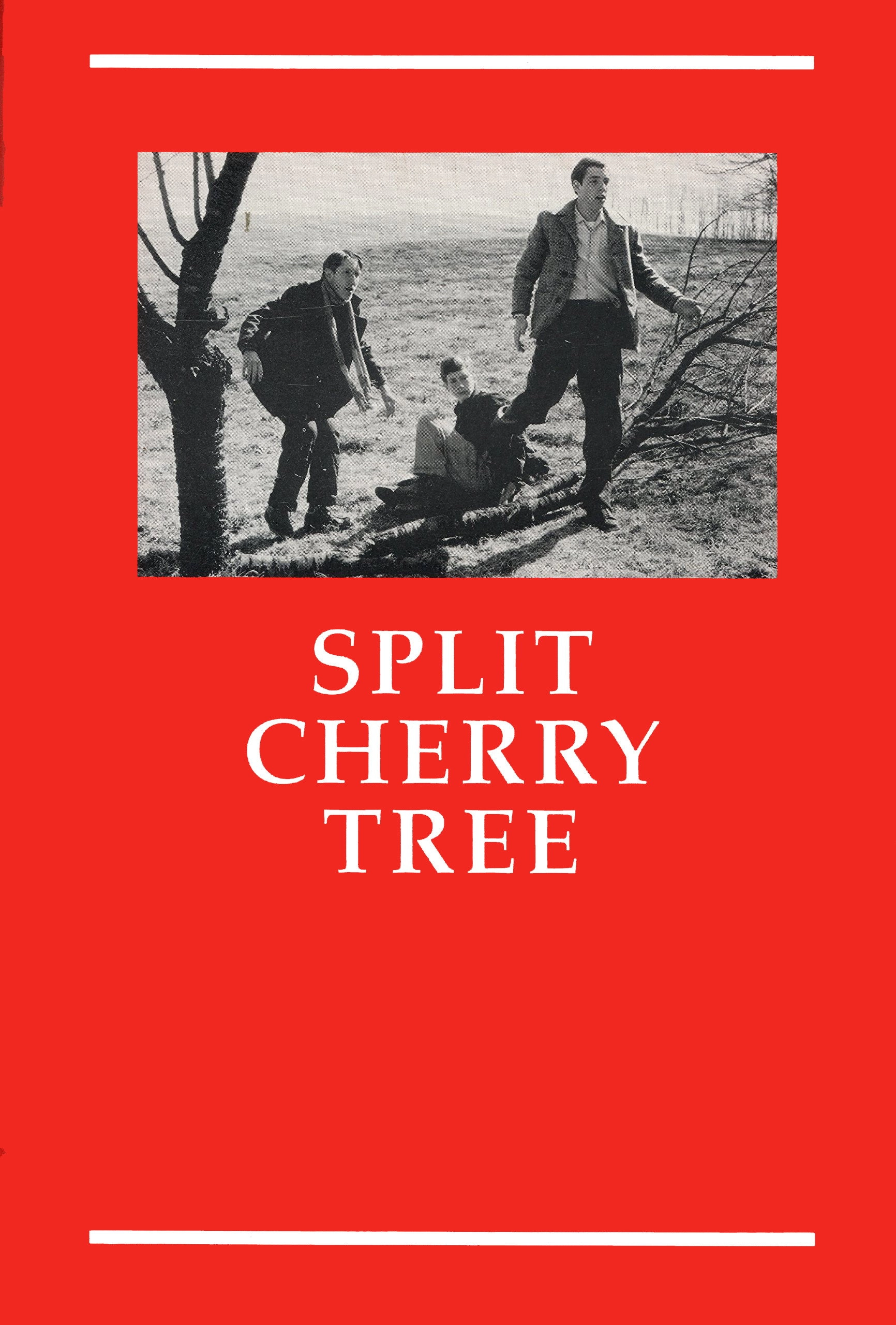 Split Cherry Tree