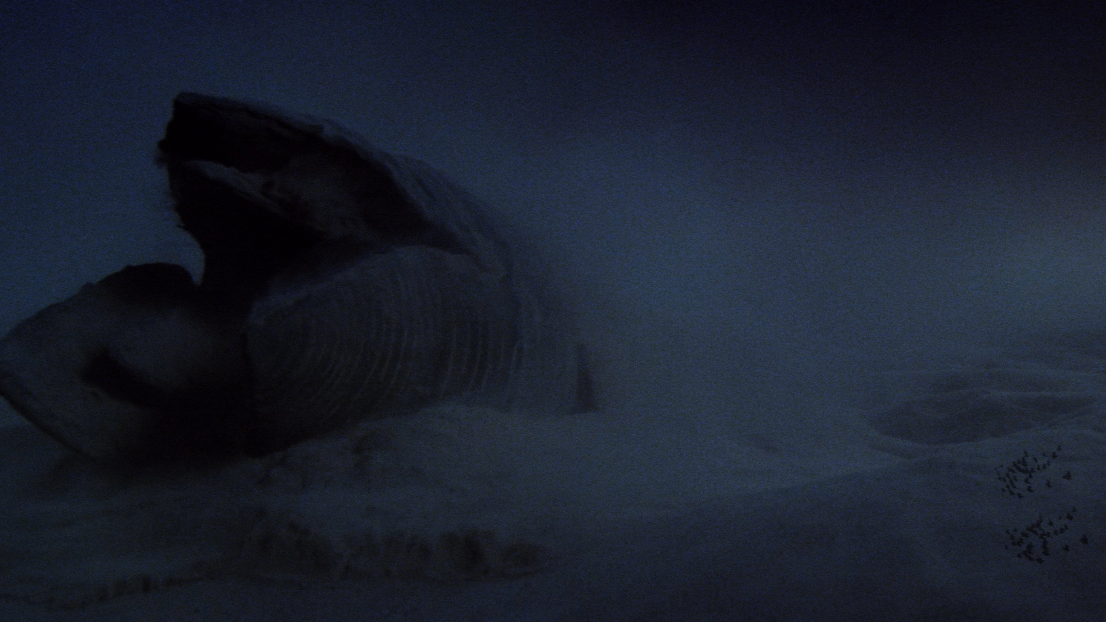 Dune