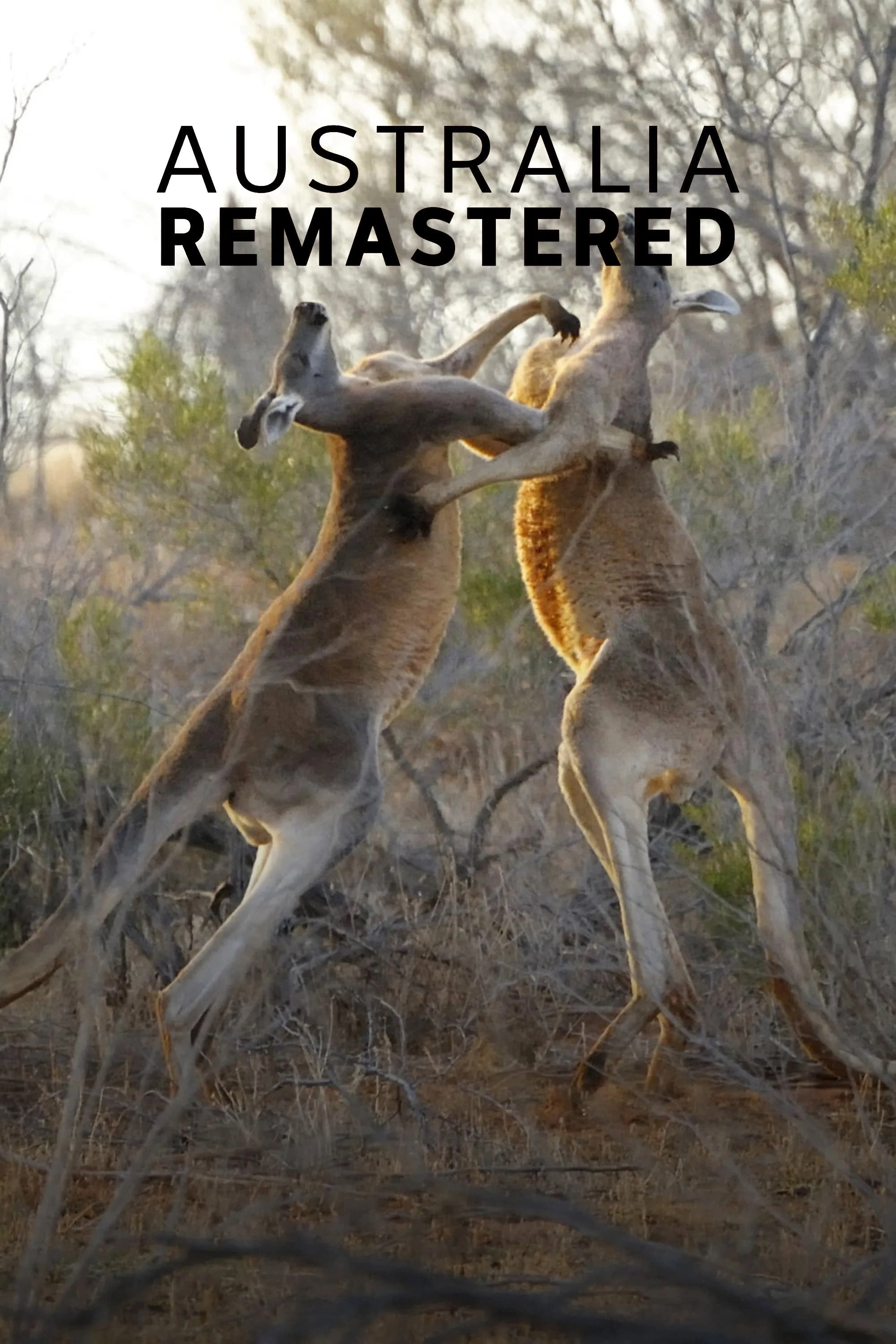 Australia Remastered