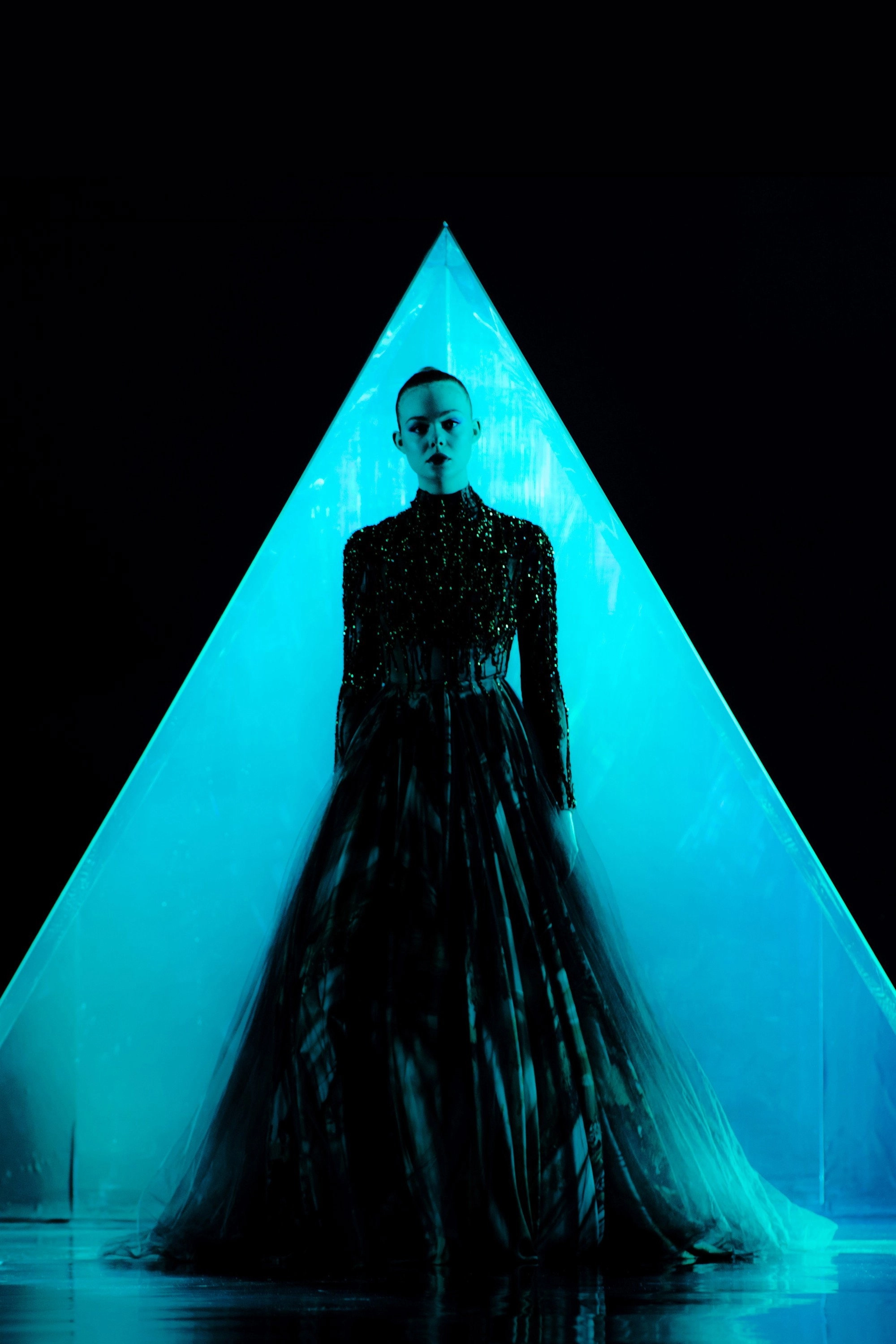 The Neon Demon