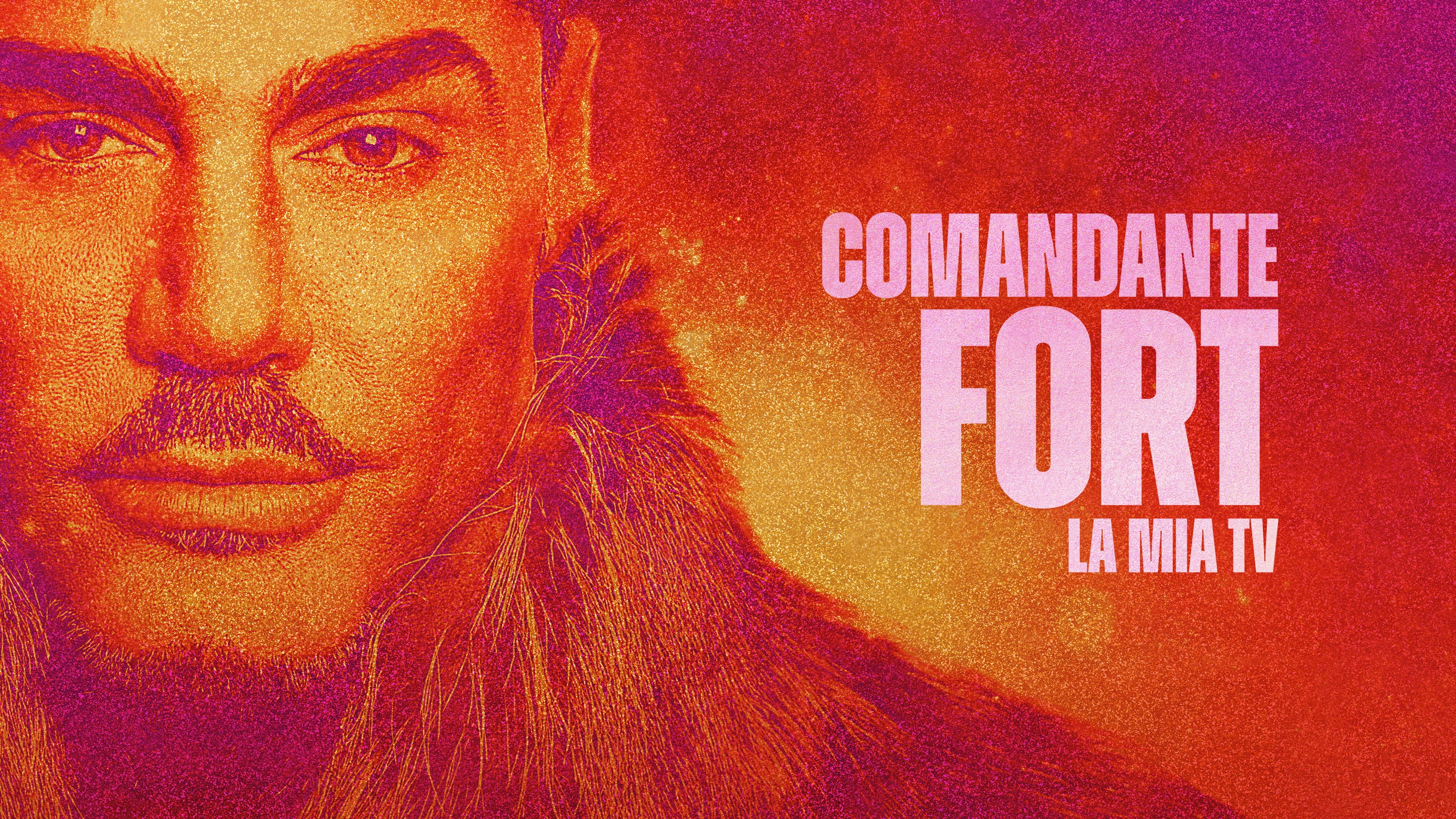 Commander Fort