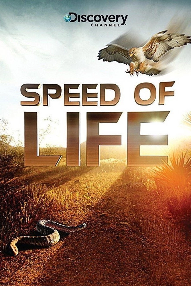 Speed of Life