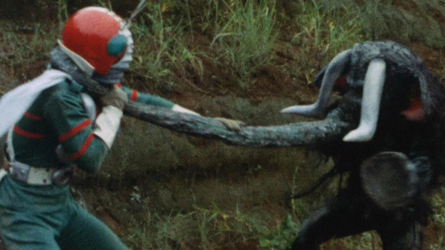 Kamen Rider V3